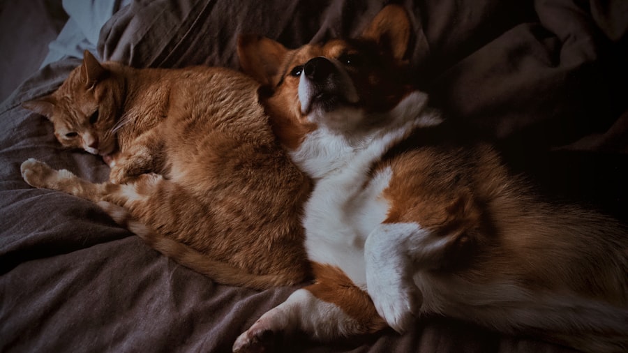 Pixel